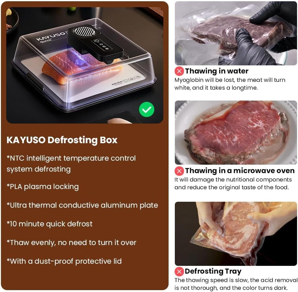 The Smart Thaw™ — Rechargeable Rapid Defrosting Tray
