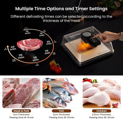 The Smart Thaw™ — Rechargeable Rapid Defrosting Tray